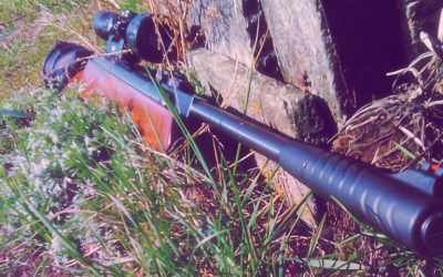 Start bloga Z wiatrem w lufie