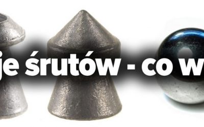 Jaki śrut do wiatrówki wybrać? Rodzaje i typy.