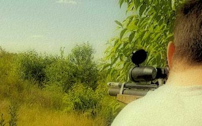 Co warto mieć, a czego nie