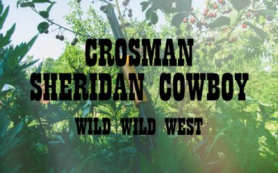 Crosman Sheridan Cowboy – mały dziki zachód
