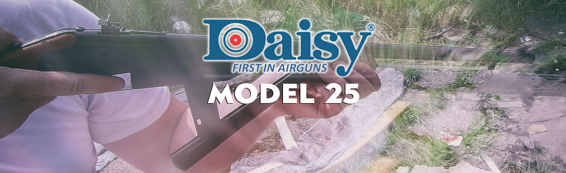 daisy model 25